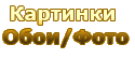 Обои / картинки / фото